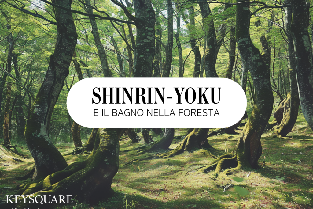 Shinrin Yoku e il bagno nella foresta