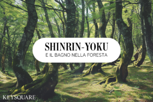 Shinrin Yoku e il bagno nella foresta