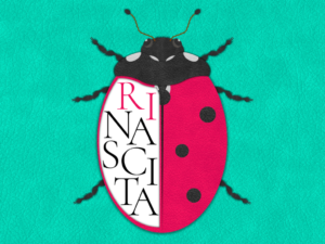 Simbologia della coccinella rinascita